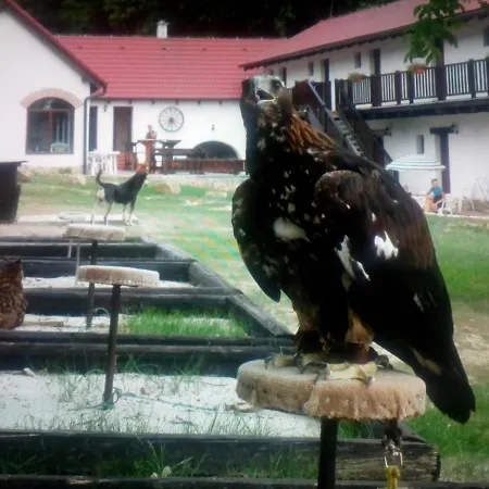 Pobyt na farme Ranc Colombia *