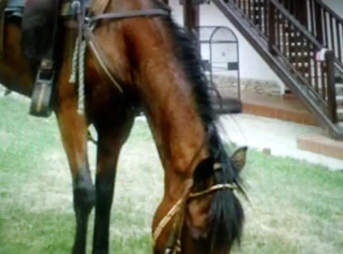 Ranč Colombia * Podkylava