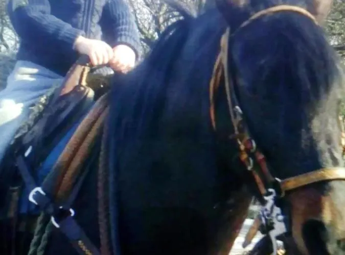 Ranč Colombia Podkylava