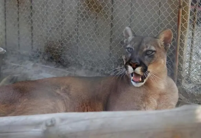 Ranč Colombia Agroturismo *
