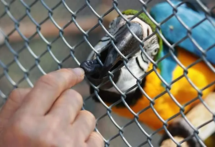 Agroturismo Ranč Colombia *