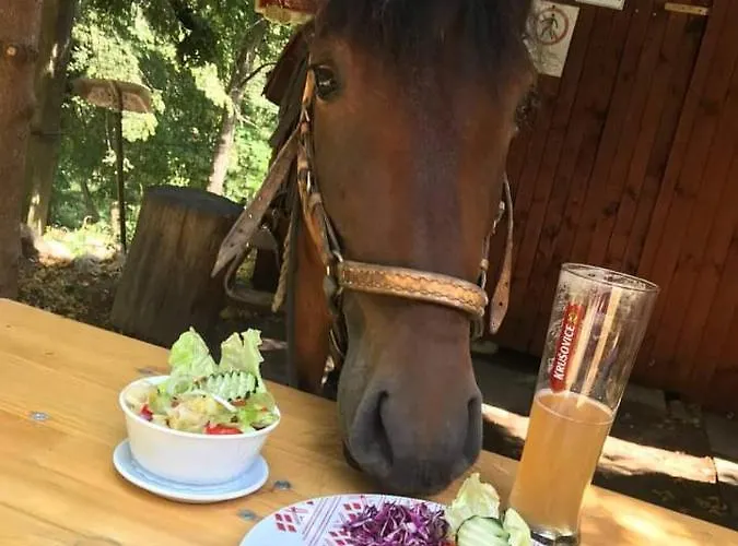 Ranč Colombia * Podkylava